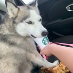 Kathy Messer - @messer_kathy - Instagram