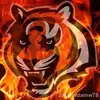 Kathy Messer Trent - @kathy.messer.tren - TikTok