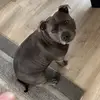 Katy - @katymichelle_ - TikTok