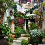 Katy Moran Reino - Facebook