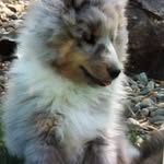 Katy Morrow - @katymorrow444 - Instagram
