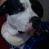 Kathy Neff - @kathyneff633 - TikTok