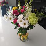 Kathy Oakes - @kathy.oakes.148 - Instagram