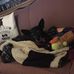 Kathy O'Connell - Facebook