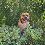 Kathie Harrison Offutt - @kathieoffutt - Instagram