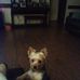 Kathy Oswald - Facebook