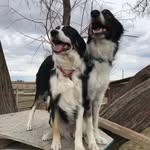 Katy’s pack - @katys_pack - Instagram