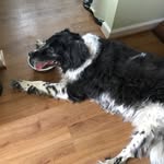Kathy padgett - @padgett7198 - Instagram