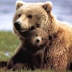Katy Page - @just.mama.bear - Instagram