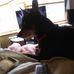 Katy Page - Facebook