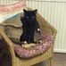 Katy Page - Facebook