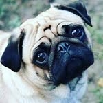 katypage - @katypage6163 - Instagram