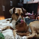 Katherine Aliaga Montiel - @katy_pandicornio - Instagram