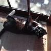Katy Cool - @katy.pan - TikTok