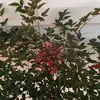 Kathy Parrish - @kathy.parrish - TikTok