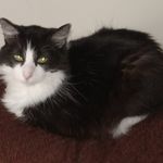 Kathy Pennington - @kathy.pennington.142 - Instagram