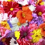 Kathy Pickett - @kathypickett50 - Instagram