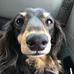 Kathy Pickett - Facebook