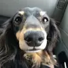 Kathy Pickett - @kathy.pickett0 - TikTok