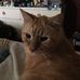 Kathy Poe - Facebook