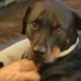 Kathy Poe - Facebook
