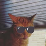 Katy poezepoot - @katypoezepoot - Instagram