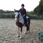 Katy Pollard - @katyand_co - Instagram