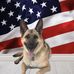 Kathy Pollock - Facebook