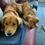 Kathy Pollock - @kgpollock - Instagram