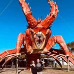Katy Poole - @platykool - Instagram