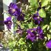Kathy Pyle - Facebook