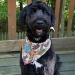 Kathy Rainey - @kathy.rainey.754 - Instagram