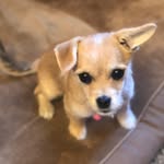 Kathy Rainey- Peanut - @peanutgregio - Instagram