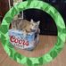 Kathy Reddell - Facebook