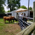 Katy Robbins - @emerylanefarms - Instagram