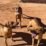 Katy Schroeder Gateman - @kdhillrrs - Instagram