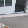 Katy Serrano - @hicole.hiller - TikTok