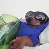 Katy Serrano - @katyserrano21 - TikTok