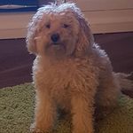 Katy Shaw - @katy.shaw.16 - Instagram