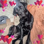Katy Shaw - @katyshaw10 - Instagram