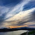 Katy Simmons - @katysimmons65 - Instagram