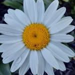 Katie Staples - @mrskatiestaples - Instagram