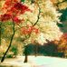 Kathy Summers - Facebook
