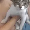 Katy Summers - @katy.summers06 - TikTok