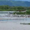 Katy_Villa - @katy_villa7 - TikTok