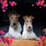 Kathy Voss - @foxymom02 - Instagram