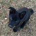 Kathy Warner - Facebook