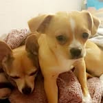 Katy Warner - @nugget_bella - Instagram
