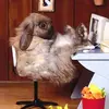 Kathy Werner - @emalee.werner.7 - TikTok