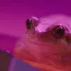 KatyWerner - @katywernerzaeaivd - TikTok